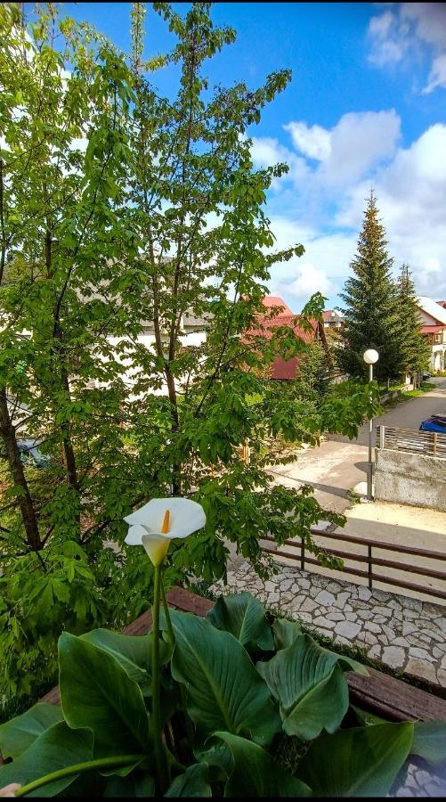 Apartments Sipcic ชาเบลียค ภายนอก รูปภาพ